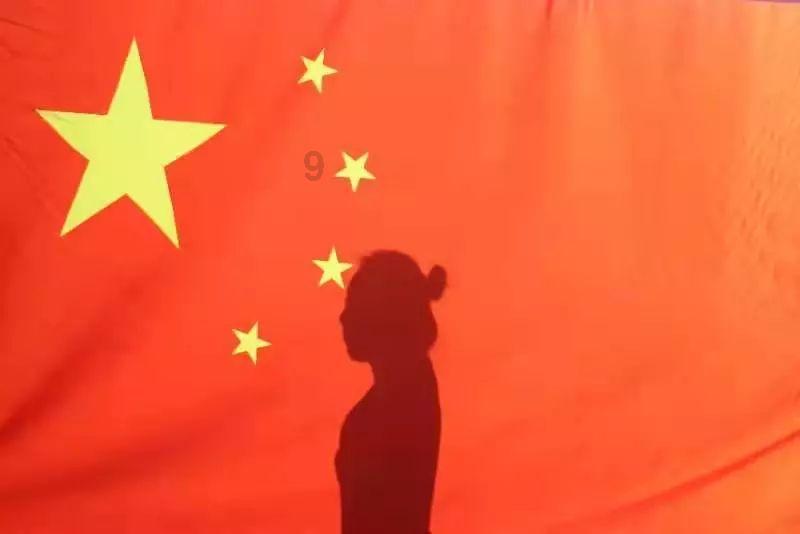 忍者鲨鱼